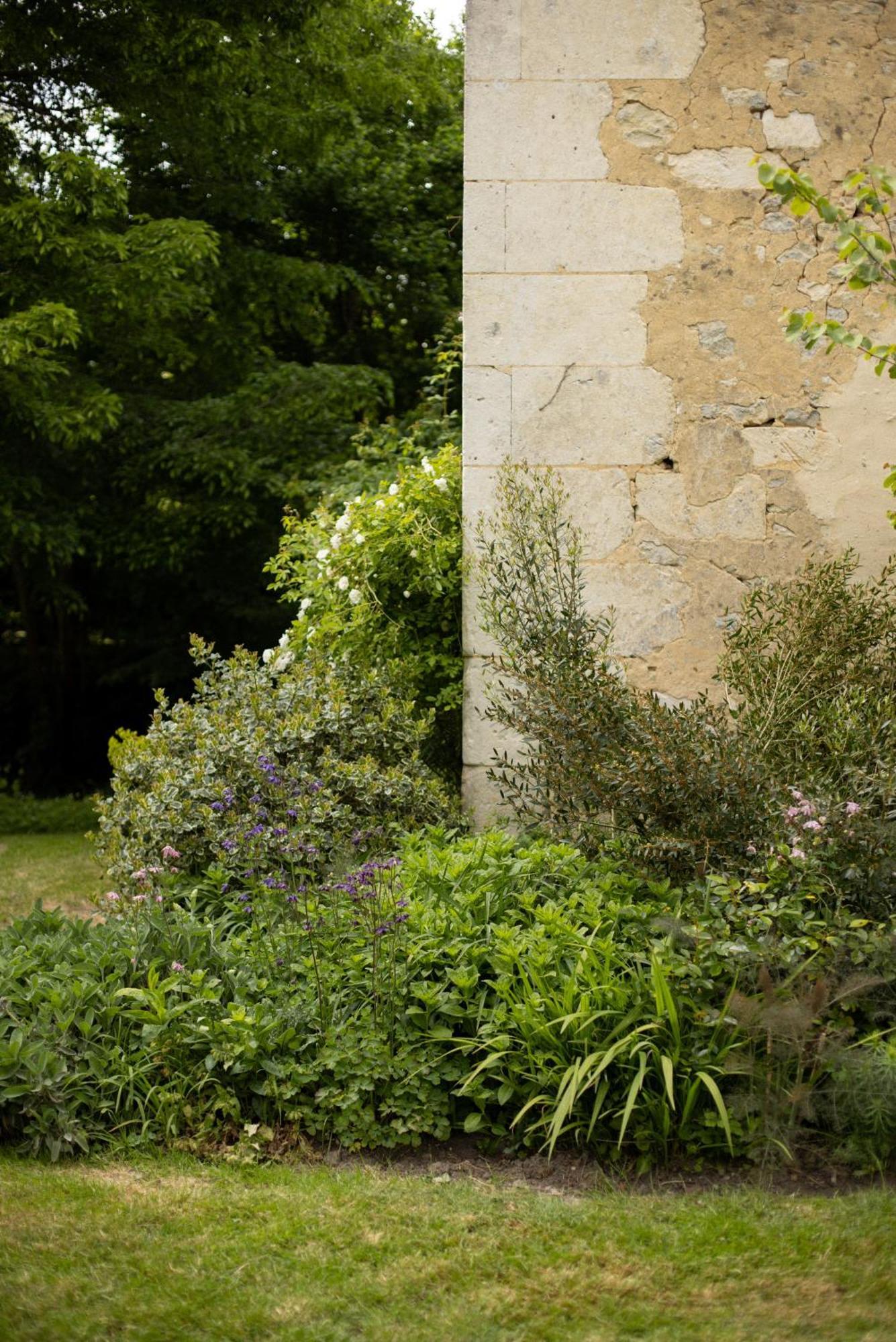Le Manoir Du Plessis Hotel Dance  Exterior foto