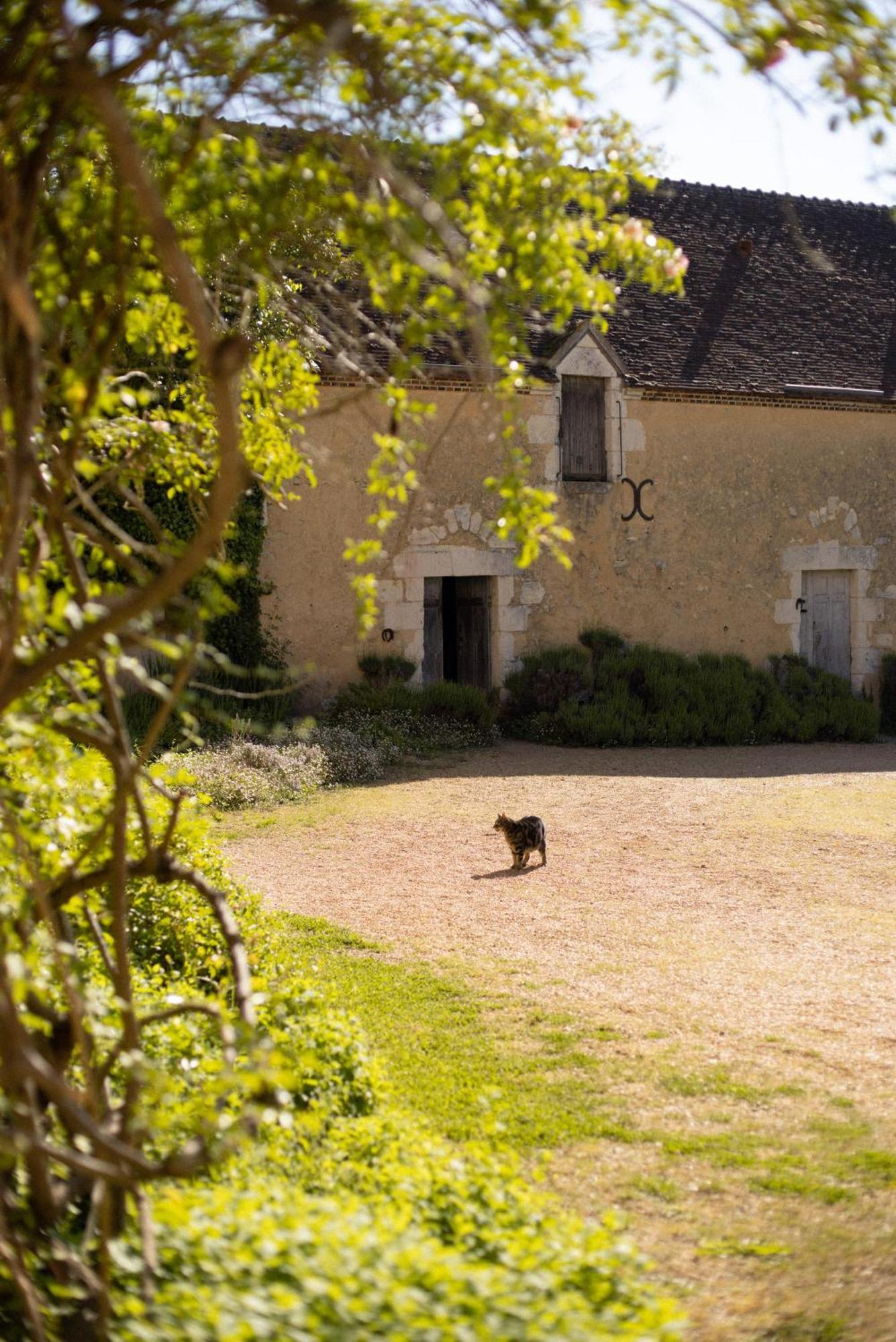 Le Manoir Du Plessis Hotel Dance  Exterior foto